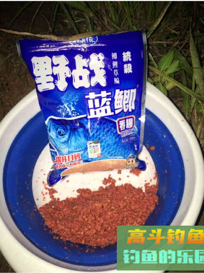 谈谈最近钓白条的心得，告诉你如何钓白条