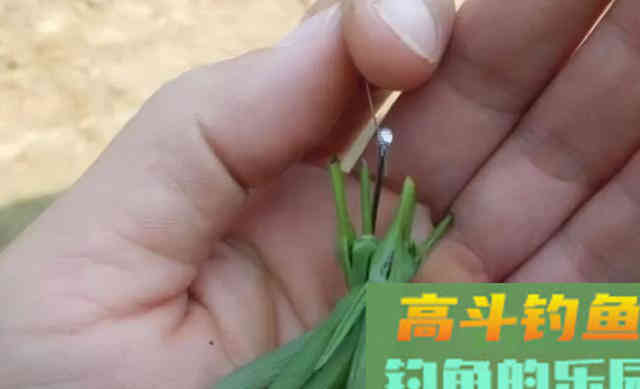 野生大草鱼,唯独这种传统钓法才好使 野生大草鱼,唯独这种传统钓法才好使
