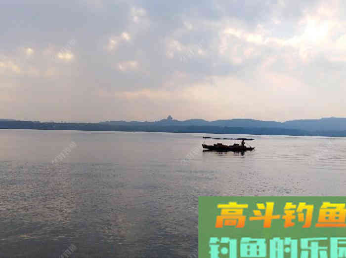 初冬钓大鲫体会，从四个方面解析，教你钓大鲫鱼