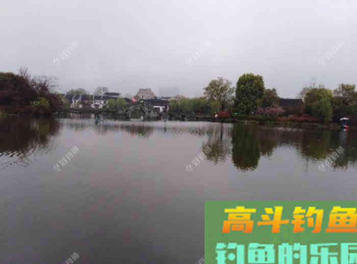 初冬钓大鲫体会，从四个方面解析，教你钓大鲫鱼