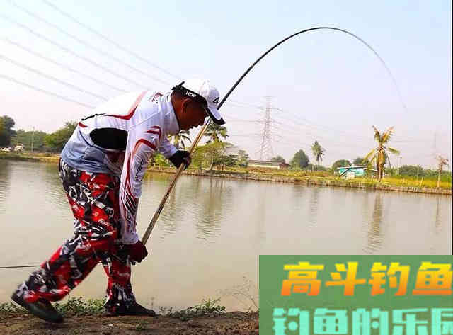 黑坑垂钓青鱼和大物，为何锚鱼多过正口？分析原因是关键