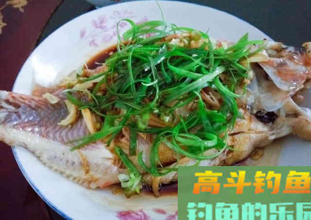 设么是红罗非鱼？红罗非是变种要该如何钓