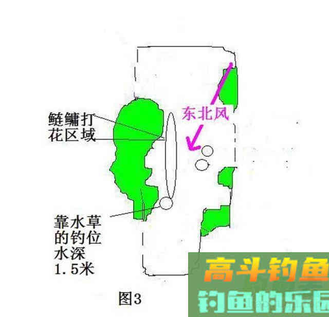 两种鲢鳙的简单钓法,和钓鲢鳙的饵料配方 两种鲢鳙的简单钓法,和钓鲢鳙的饵料配方
