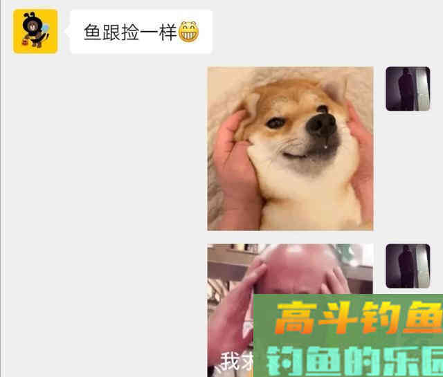 玉米钓不到鲤鱼,很有可能用法不对 玉米钓不到鲤鱼,很有可能用法不对