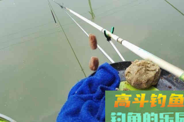 初秋太热，用这钓法连竿上鲤鱼