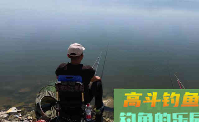 野钓鲤鱼,要以守为主,灵活应变 野钓鲤鱼,要以守为主,灵活应变