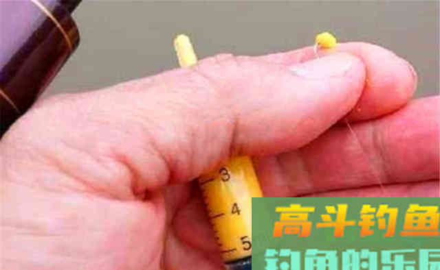 晚秋钓鲫鱼,用蚯蚓、红虫鱼口多 晚秋钓鲫鱼,用蚯蚓、红虫鱼口多