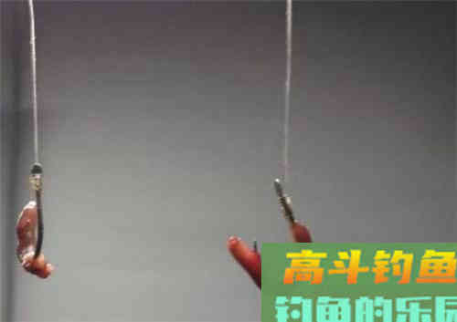 野外钓鲫鱼,怎么选鱼钩 野外钓鲫鱼,怎么选鱼钩