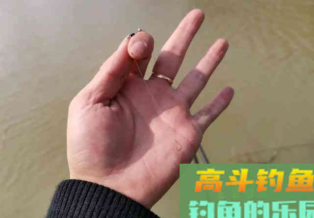长竿钓鲫鱼还真要点技术!老钓友帮你捋一捋,哪几件事最重要 长竿钓鲫鱼还真要点技术!老钓友帮你捋一捋,哪几件事最重要