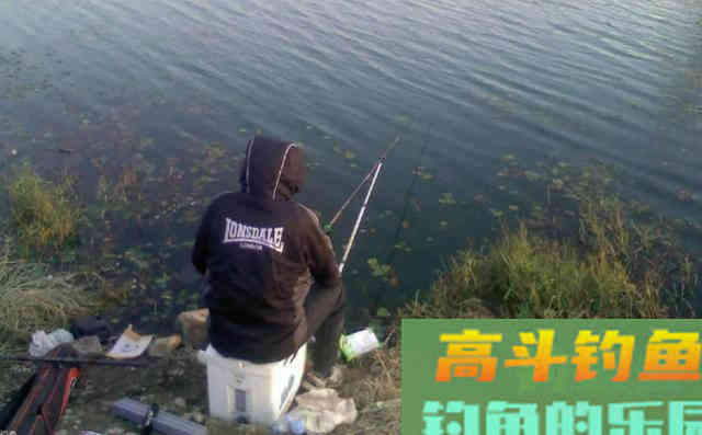 冬季钓鲫鱼，如何找到鱼儿的藏身处？
