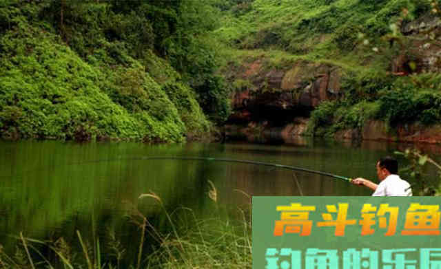 野钓鲫鱼,钓位选择有三点,天气季节和时间 野钓鲫鱼,钓位选择有三点,天气季节和时间
