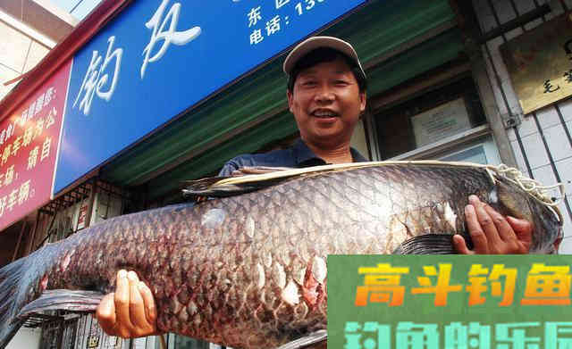 黑坑钓青鱼正口少、锚得多?要了解前因后果 黑坑钓青鱼正口少、锚得多?要了解前因后果