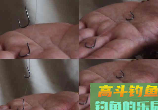 撑握用子线长度、钩距与调钓的关系,是钓获青鱼的关键 撑握用子线长度、钩距与调钓的关系,是钓获青鱼的关键
