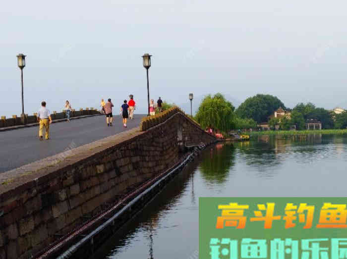 钓鲢鳙鱼3个因素与找鱼层方法,以及气温等技巧 钓鲢鳙鱼3个因素与找鱼层方法,以及气温等技巧