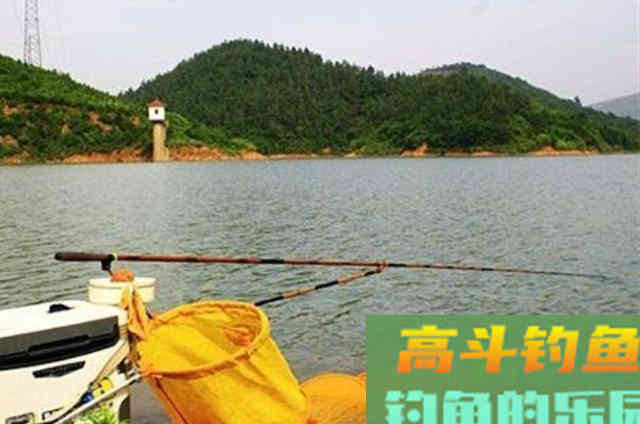 青鱼难钓到怀疑人生,无奈之下只好用这绝招 青鱼难钓到怀疑人生,无奈之下只好用这绝招