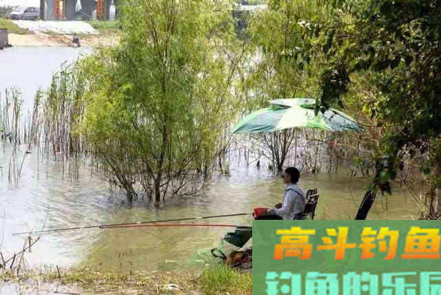 怪不得上钩的草鱼越来越大,殊不知这套钓法才是连竿的关键 怪不得上钩的草鱼越来越大,殊不知这套钓法才是连竿的关键