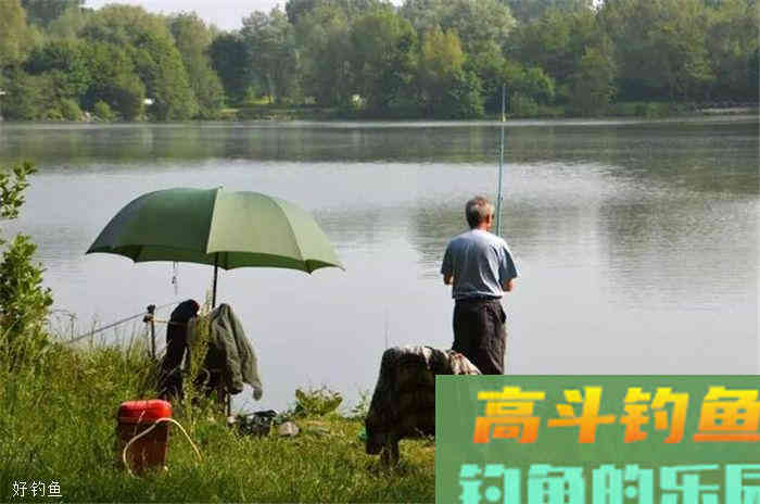 仲秋如何钓鲤鱼?选时,配饵,看钓技 仲秋如何钓鲤鱼?选时,配饵,看钓技