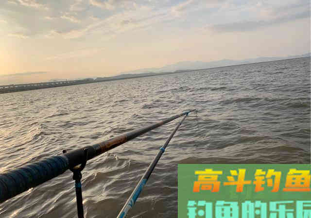 各种通用,简单,效果不错的钓草鱼方法 各种通用,简单,效果不错的钓草鱼方法