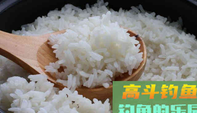 在池塘里,用大米饭钓鲫鱼 在池塘里,用大米饭钓鲫鱼