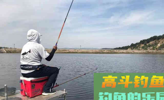 初夏，水库、池塘如何垂钓鲤鱼