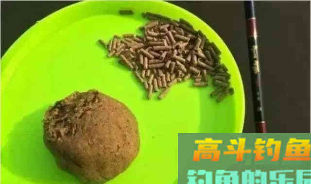 野钓大鲫鱼,这样抓口,有口就上鱼 野钓大鲫鱼,这样抓口,有口就上鱼