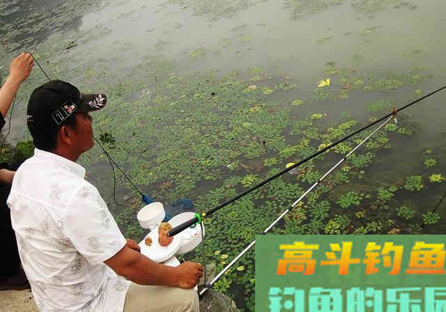 钓到草鱼其实不难，掌握这就够了