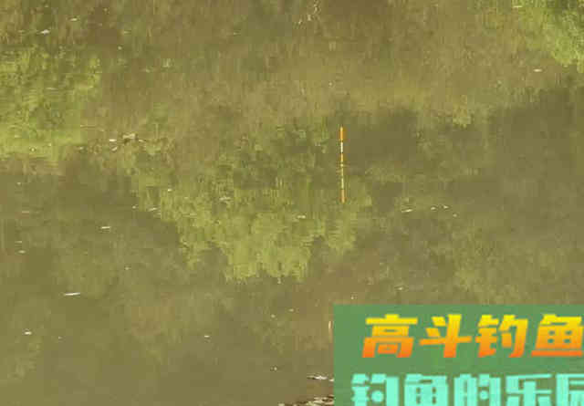 钓草鱼别怕累，这种钓法诱鱼速度最快