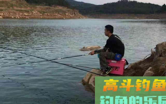 如何钓鲤鱼 如何钓鲤鱼