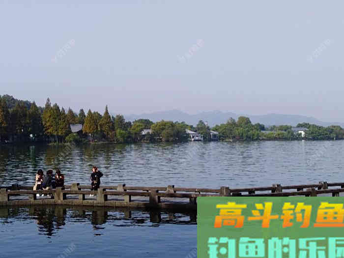 初冬钓大鲫体会，从四个方面解析，教你钓大鲫鱼