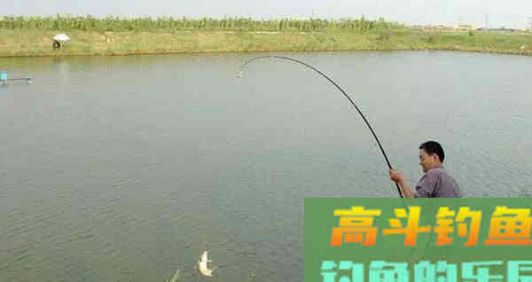 鲢鳙湖库野钓鲢鳙,需要掌握的技巧与方法分享 鲢鳙湖库野钓鲢鳙,需要掌握的技巧与方法分享