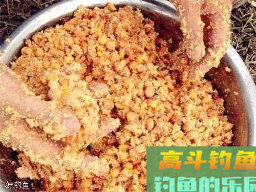 钓鲤鱼搭配鱼饵和溜鱼手法 钓鲤鱼搭配鱼饵和溜鱼手法