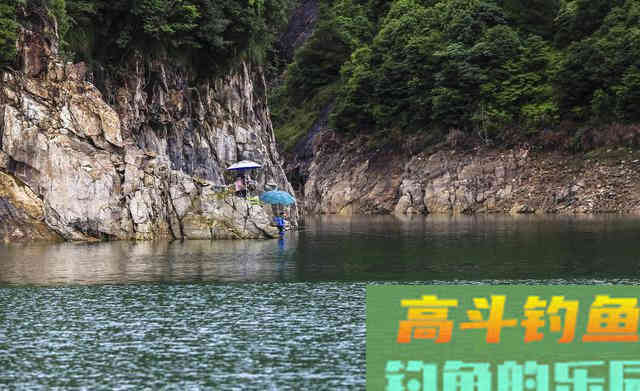冬季如何钓起鲢鳙？低温钓鲢鳙的2大核心3个基础