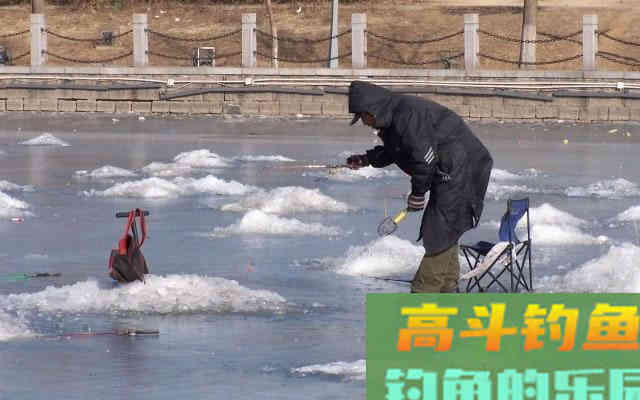 冬钓出现这种漂相，可是小鱼闹窝，是进窝的鲤鱼在涮饵