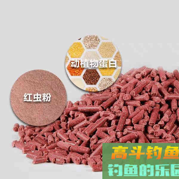 掌握这些作钓技巧，想钓大鲫鱼也没想象的那么难！