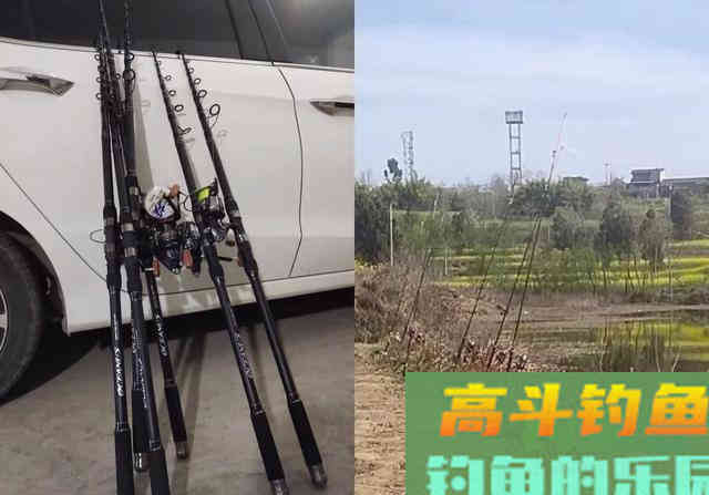 草鱼为何难钓?分析原因从它的生活习性入手 草鱼为何难钓?分析原因从它的生活习性入手