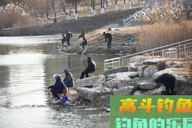 冬季钓鲢鳙的4大注意事项 冬季钓鲢鳙的4大注意事项