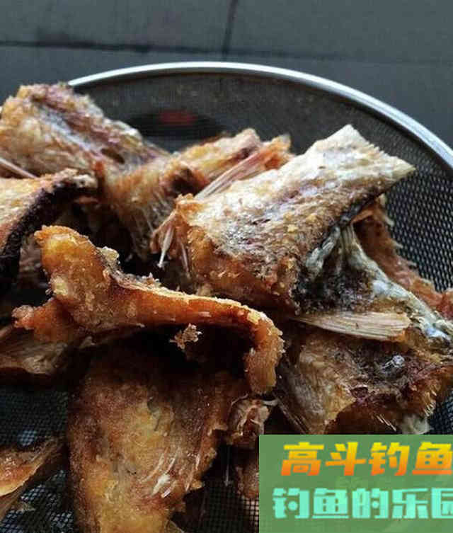 两斤的鲮鱼能切2.0的子线，这种鱼该如何垂钓？