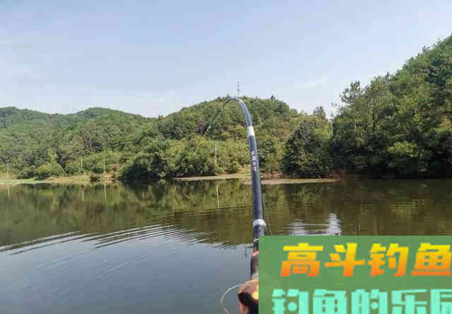 抛竿钓鲢鳙,新手试试我这个办法 抛竿钓鲢鳙,新手试试我这个办法