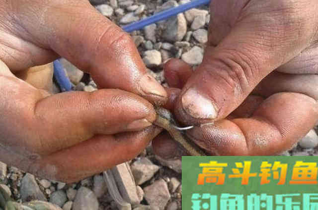 气温降后,黑鱼就不好钓?常用这三大绝招,秒变高手 气温降后,黑鱼就不好钓?常用这三大绝招,秒变高手