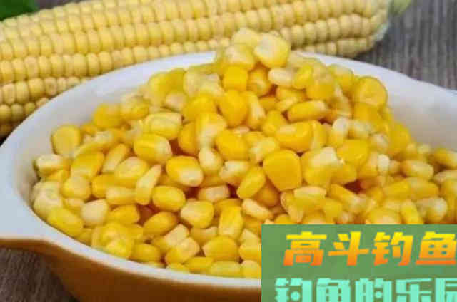 过去二十年了,谁料这套鲤鱼钓法,依然霸气十足 过去二十年了,谁料这套鲤鱼钓法,依然霸气十足
