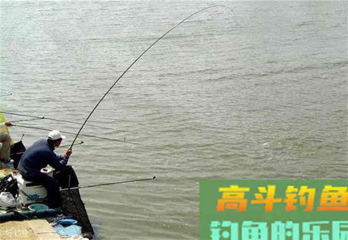 老钓友分享如何用草来钓大草鱼