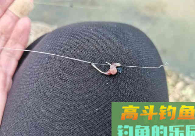 路滑钓法是冬钓大板鲫的利器？劝你别盲目跟风