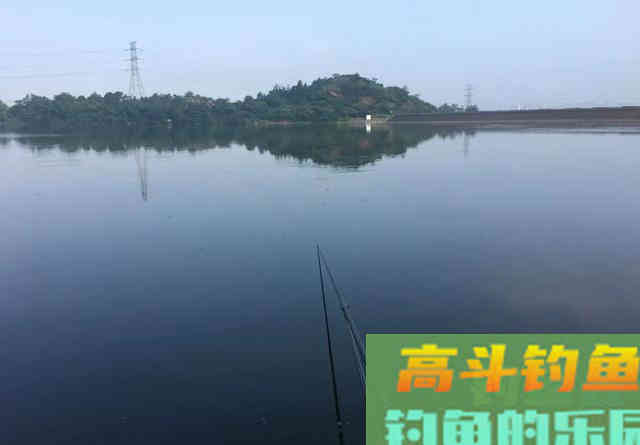 钓鲢鳙的鱼竿很难选？了解它的特点和钓法就知道原因了