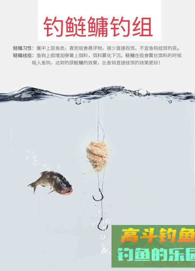 索性将手竿钓鲢鳙之四大要素就此分享 索性将手竿钓鲢鳙之四大要素就此分享