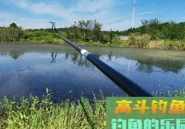 都知道钓鲫鱼要找水草,但很多人忽略了第二步 都知道钓鲫鱼要找水草,但很多人忽略了第二步
