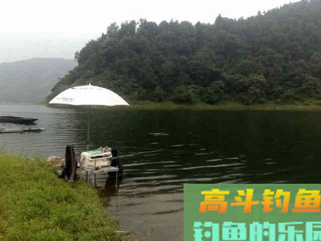 嘴巴小尾巴黄，3两重的冲劲很大，这鱼该如何垂钓