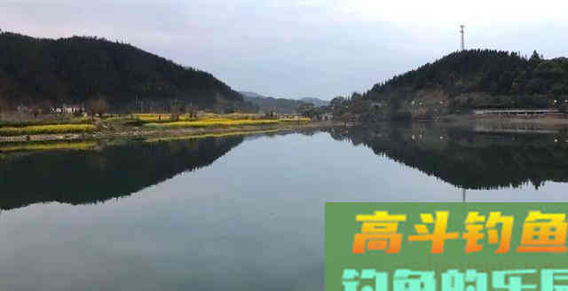夏季鲢鳙怎么钓？掌握鱼情、水情、钓深、钓浅等