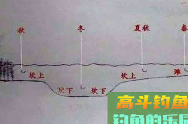 草鱼的3个钓法精髓,知道的人绝非泛泛之辈 草鱼的3个钓法精髓,知道的人绝非泛泛之辈