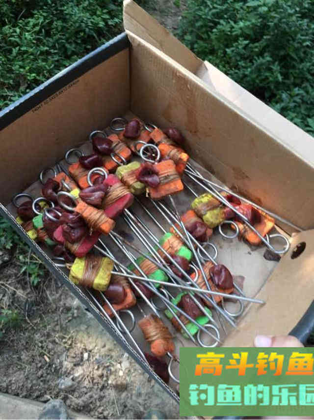 如何用猪肝钓甲鱼?运气好的时候一天能钓十几只 如何用猪肝钓甲鱼?运气好的时候一天能钓十几只