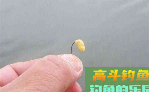 这些钓法看着土，但是论钓鲫鱼的效果，却一点也不含糊